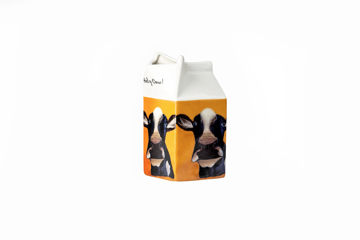 Carton Jug