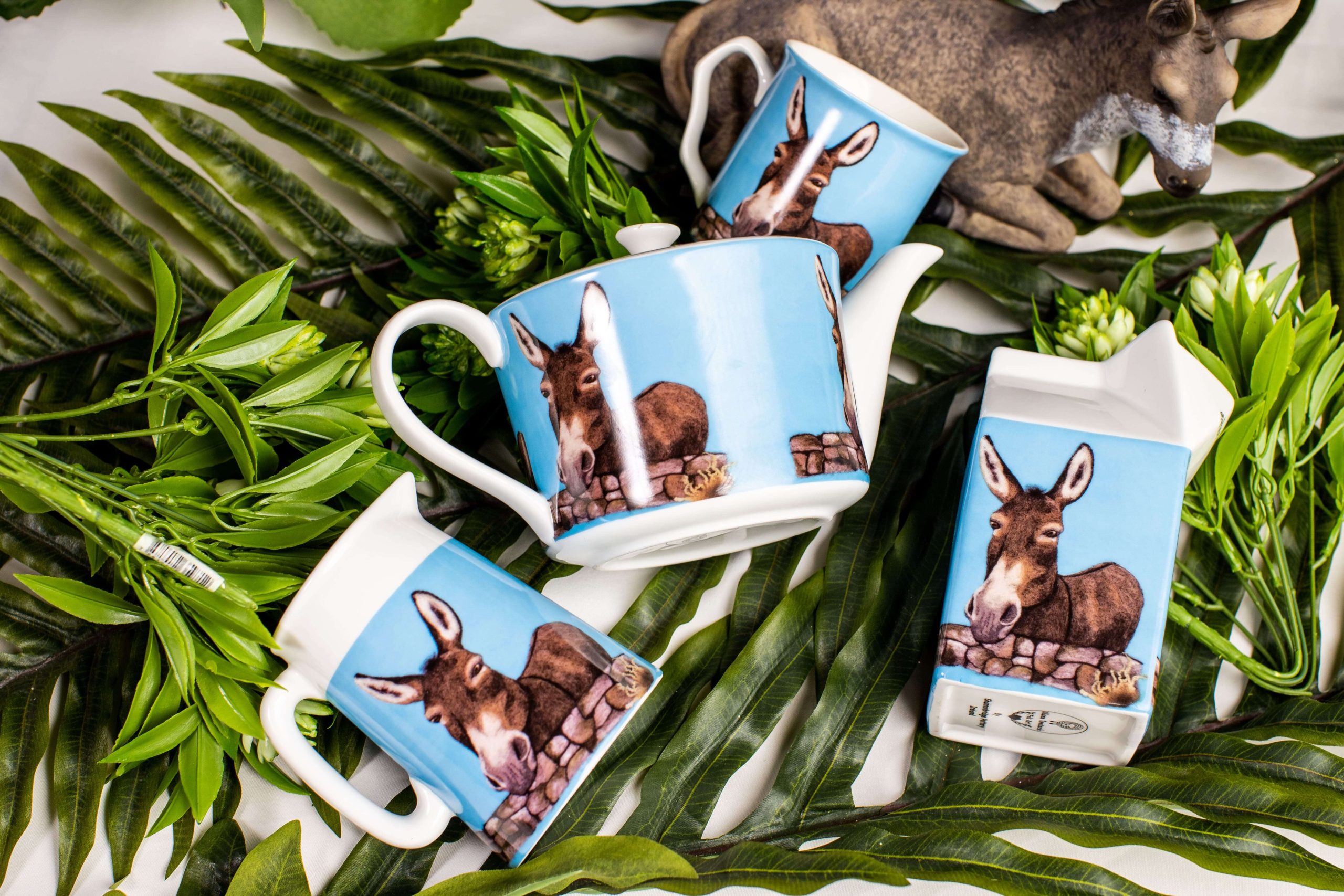 _Banner--DONKEY