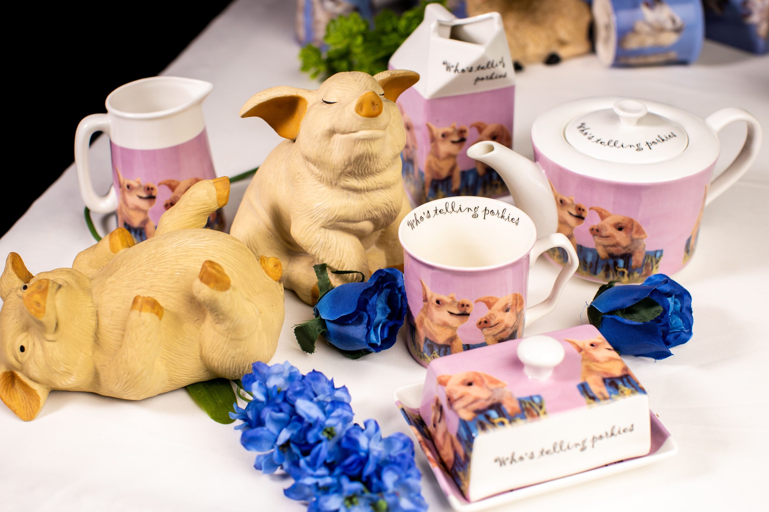 _Banner--PIG